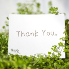 <2020>年末年始ギフト 予算は？どうやって選ぶ？＜目的、予算別＞