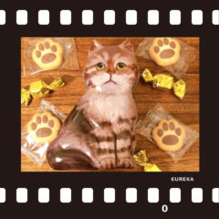 エウレカ　ネコシェイプ缶　バレンタインギフトに！