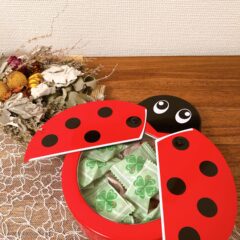 エウレカ スプリング商品 レディーバード缶のご紹介