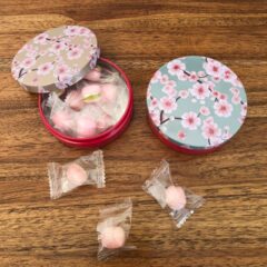 再・スプリングギフトのご紹介（さくら缶）
