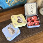 子猫ﾐﾆ缶ﾌﾞﾙｰｲｴﾛｰ