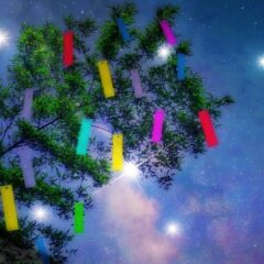 【 今日は何の日ブログ 】７月はどんな月？　ー７月１日～７月３１日ー