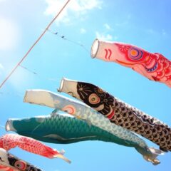 【 今日は何の日ブログ 】５月はどんな月？　ー５月１日～５月３１日ー