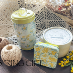 【エウレカ　スプリングギフトのご紹介です！】エウレカ・スプリングギフト2024②