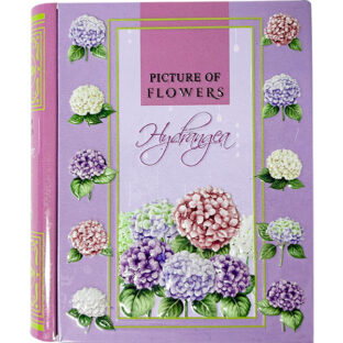 【2026年3月上旬以降販売開始予定】紫陽花 図鑑缶