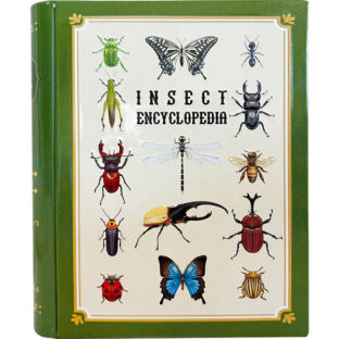 【2026年5月中旬以降販売開始予定】昆虫　図鑑缶